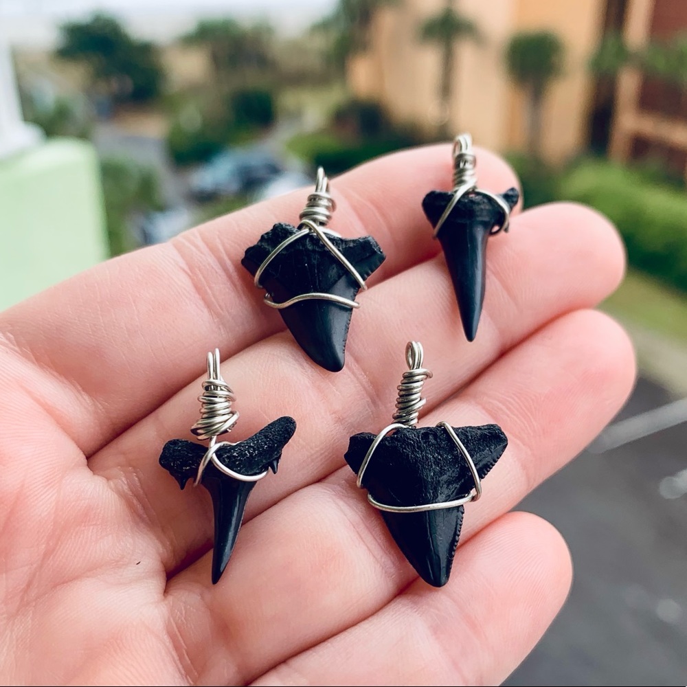 Wire Wrapped Shark Tooth Necklace - Picture 7 of 8